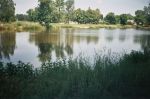 _16_0055.jpg