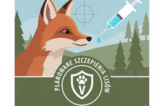 Planowane szczepienia lisów